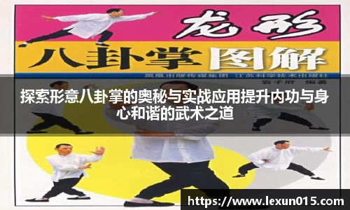 球速体育新版本