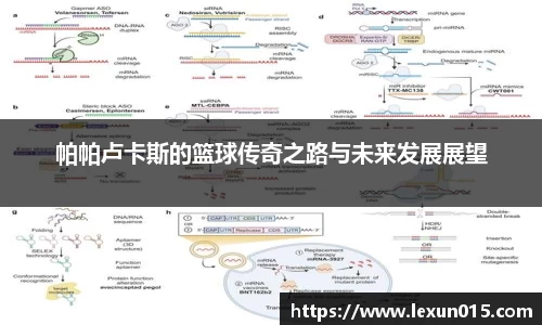 球速体育官方网站